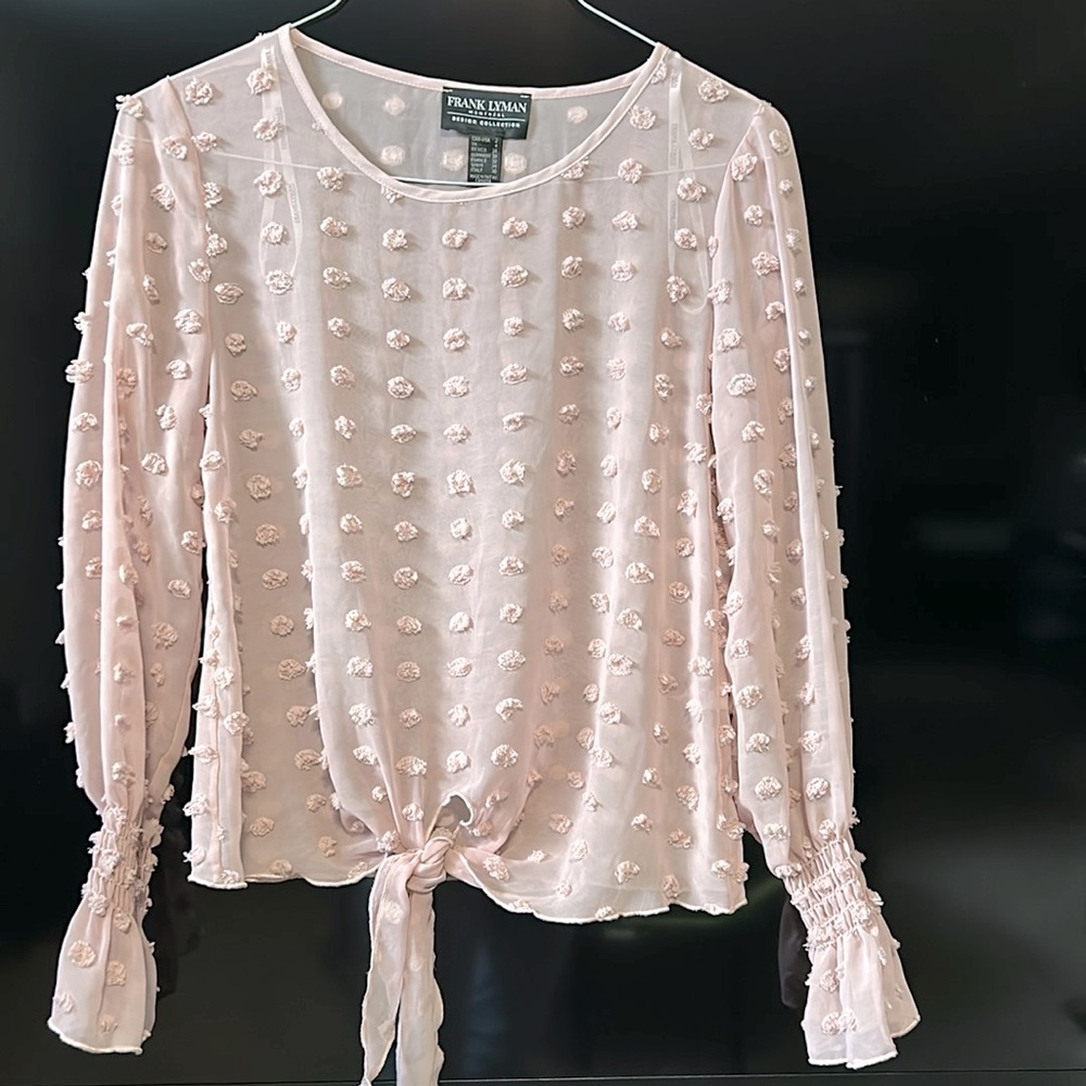 Sheer Blush pink Frank Lyman top, size 2